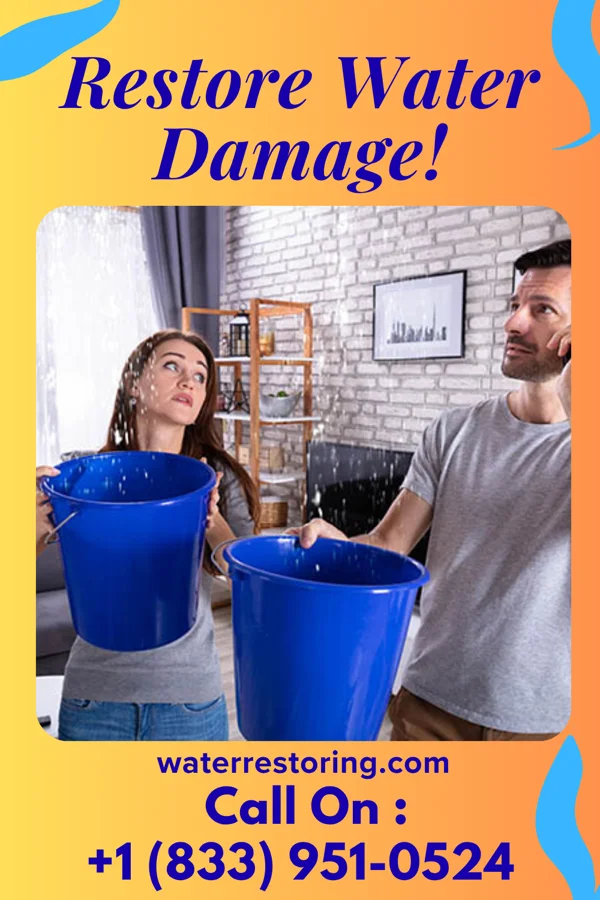 water restoration Allied Disaster Recovery LLC Brooks
