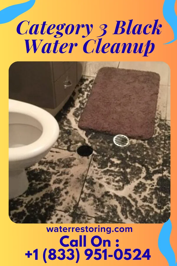 Category 3 Black Water Cleanup in Brooks, GA