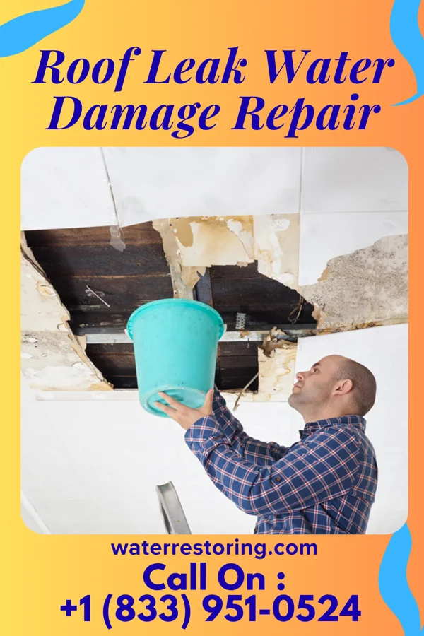 Roof Leak Water Damage Repair in Brooks, GA