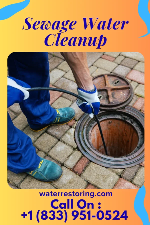 Sewage Water Cleanup in Brooks, GA